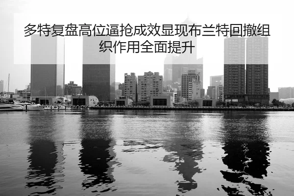 多特复盘高位逼抢成效显现布兰特回撤组织作用全面提升
